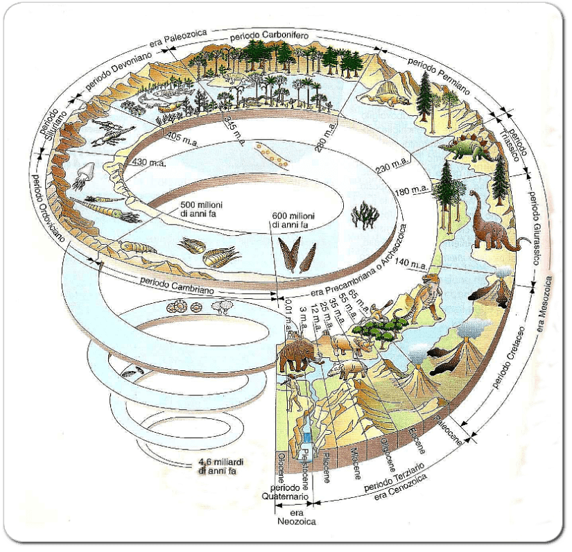 Diagramma schematico “a spirale” del tempo geologico